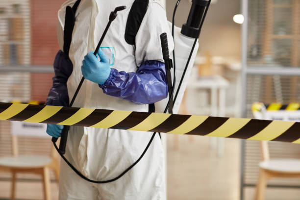 Professional Sewage Cleanup technician working in Elkton, VA